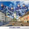 Eurographics - Straubing Tigers - 1000 pieces Fashion
