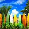 Eurographics - Surfer's Paradise Hawaii USA - 1000 Piece Jigsaw Puzzle Sale