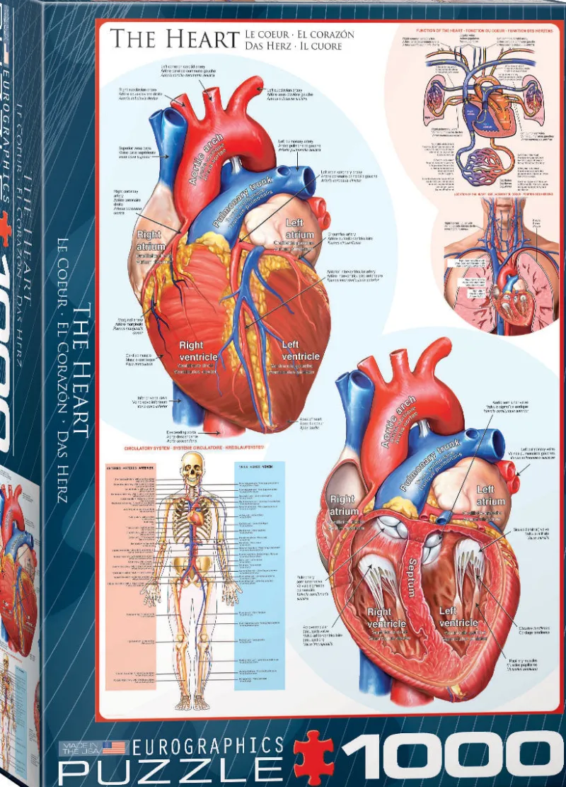 Eurographics - The Heart - 1000 piece jigsaw puzzle Best