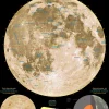 Eurographics - The Moon - 1000 Piece Jigsaw Puzzle Sale