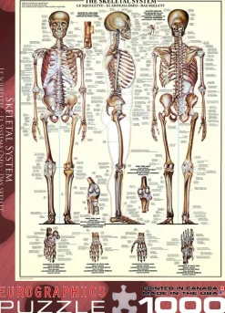 Eurographics - The Skeletal System - 1000 Piece Jigsaw Puzzles Clearance