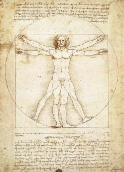 Eurographics - The Vitruvian Man by Leonardo da Vinci - 1000 Piece Jigsaw Puzzles Best