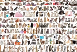 Eurographics - The World of Cats - 2000 Piece Jigsaw Puzzle Online