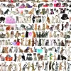 Eurographics - The World of Cats - 1000 piece jigsaw puzzle Online