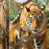 Eurographics - Tigers - 250 pieces Fashion