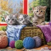 Eurographics - XXL Pieces - Knittin' Kittens - 500 Piece Jigsaw Puzzle Outlet