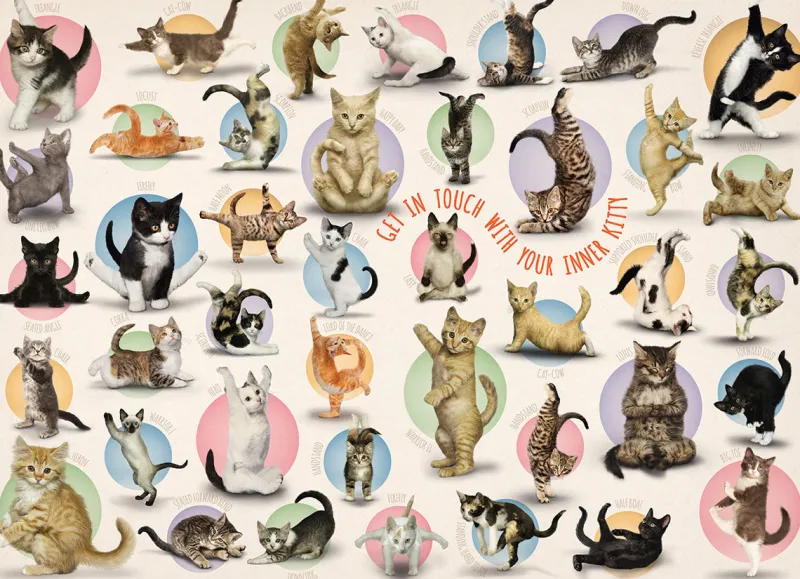 Eurographics - XXL Pieces - Familiy Puzzle: Yoga Kittens - 500 piece jigsaw puzzle Clearance