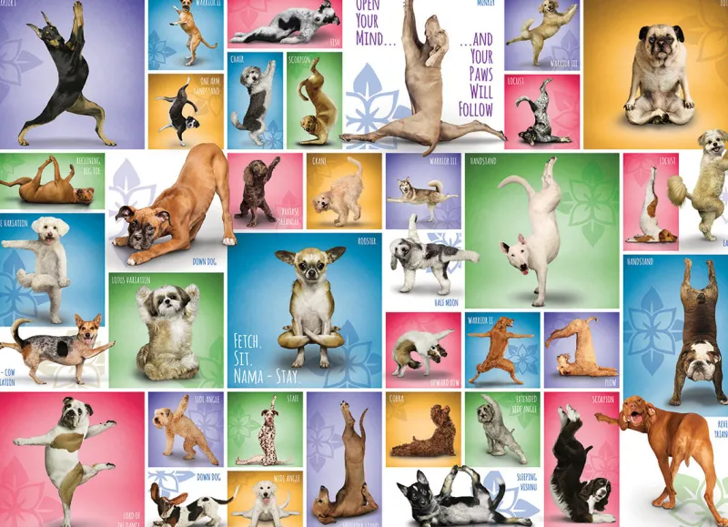 Eurographics - Yoga Dogs - 1000 Piece Jigsaw Puzzle Outlet