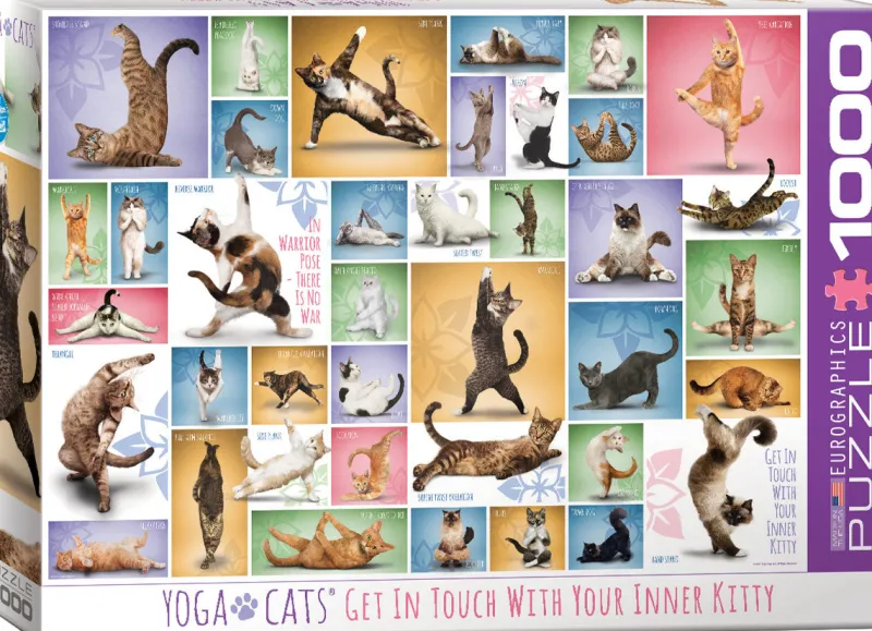 Eurographics - Yoga Cats - 1000 piece jigsaw puzzle Online