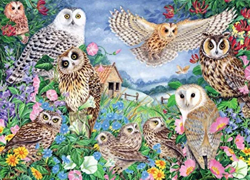 Falcon de luxe - Owls In The Wood - 1000 Piece Jigsaw Puzzle Best