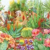 Falcon de luxe - The Flower Show: Desert Plants 1000 piece Sale