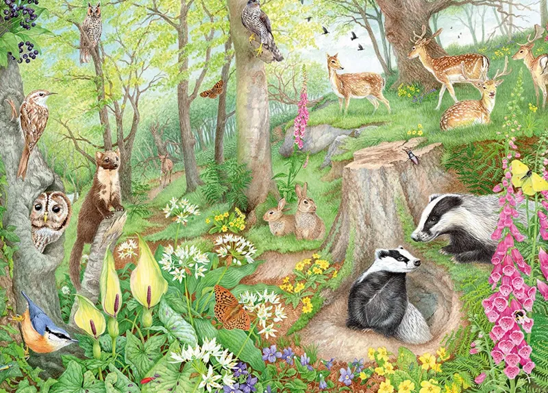 Falcon de luxe - Woodland Wildlife - 1000 Piece Jigsaw Puzzle Best