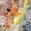 Galison - Rainbow Seashells - 2000 Piece Jigsaw Puzzle Online