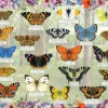Gibsons - Beautiful Butterflies - 1000 Piece Jigsaw Puzzle Sale