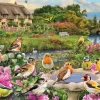 Gibsons - Birdsong by the Stream - 250 XL Piece Jigsaw Puzzle Discount
