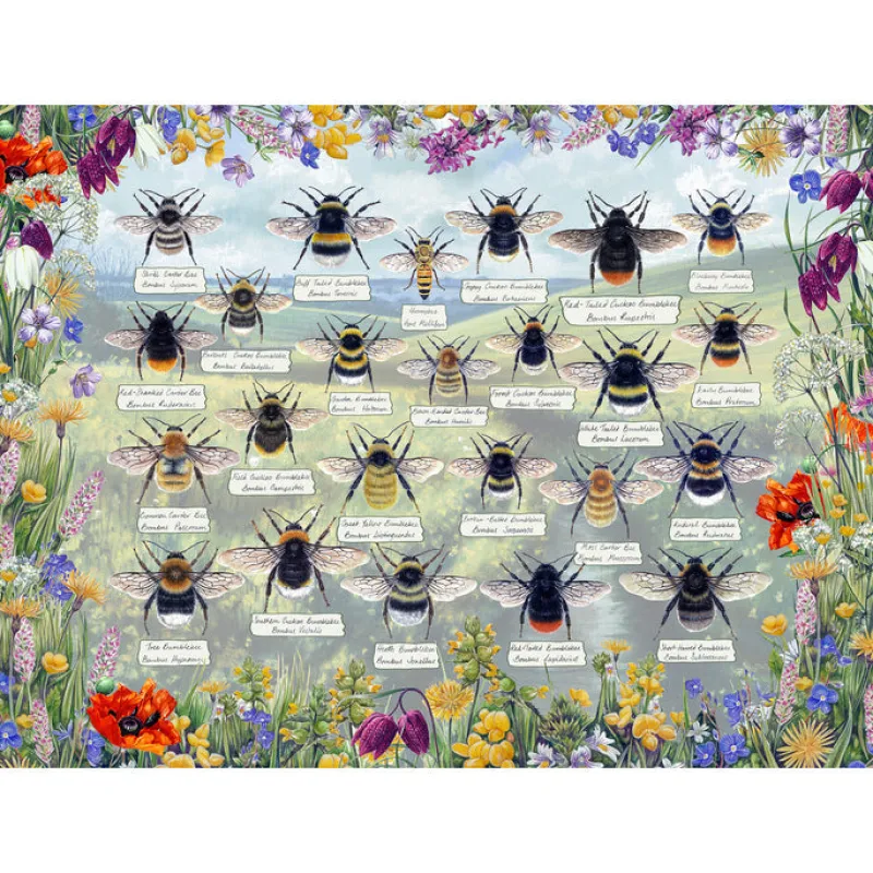 Gibsons - Brilliant Bees - 1000 Piece Jigsaw Puzzle Outlet