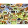 Gibsons - British Wildlife - 500 Piece Jigsaw Puzzle Sale