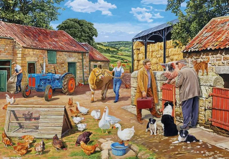 Gibsons - Call the Vet - 4 x 500 Pieces Best
