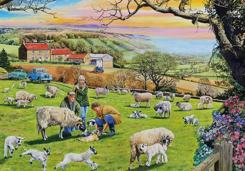 Gibsons - Call the Vet - 4 x 500 Pieces Best