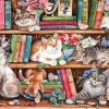 Gibsons - Puss Back in Books - 1000 Piece Jigsaw Puzzle Clearance