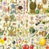Gibsons - RHS: Botanical Bliss - 1000 Piece Jigsaw Puzzle Fashion