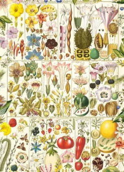 Gibsons - RHS: Botanical Bliss - 1000 Piece Jigsaw Puzzle Fashion