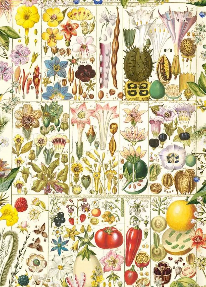 Gibsons - RHS: Botanical Bliss - 1000 Piece Jigsaw Puzzle Fashion