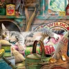 Gibsons - Snoozing in the Shed - 1000 Piece Jigsaw Puzzle New