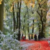 Gibsons - Snow in Autumn - 636 Piece Jigsaw Puzzle Clearance