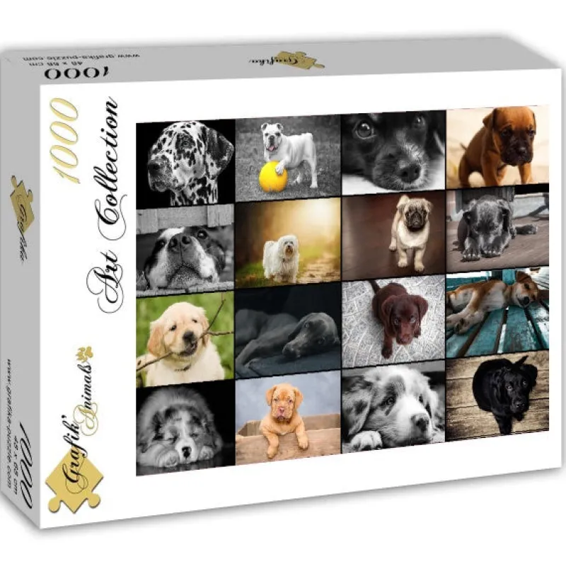 Grafika - Collage - Dogs - 1000 Piece Jigsaw Puzzle Outlet