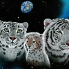 Grafika - Schim Schimmel - Gentle Family - 1000 Piece Jigsaw Puzzle Clearance