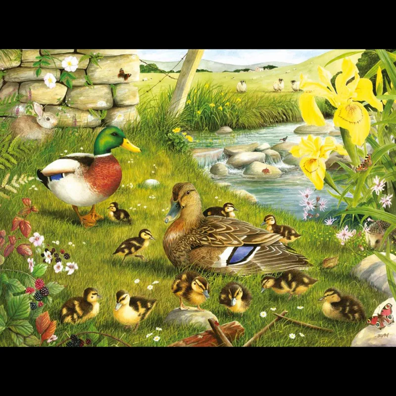House of Puzzles HOP - Ducks To Water - BIG 500 Piece Jigsaw Puzzle Online