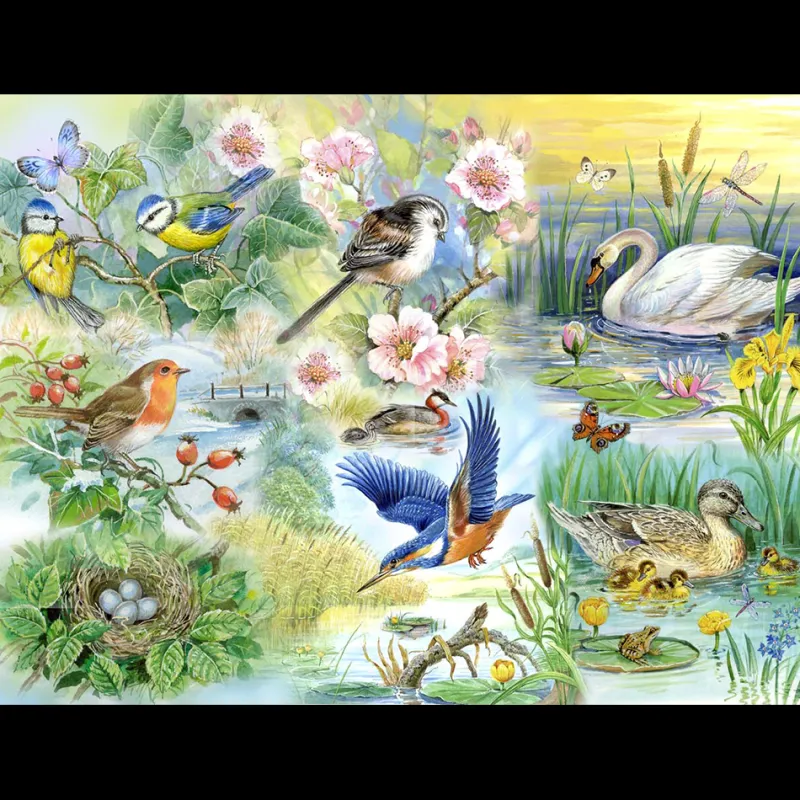 House of Puzzles HOP - Feathered Friends - BIG 250 Piece Jigsaw Puzzle Sale