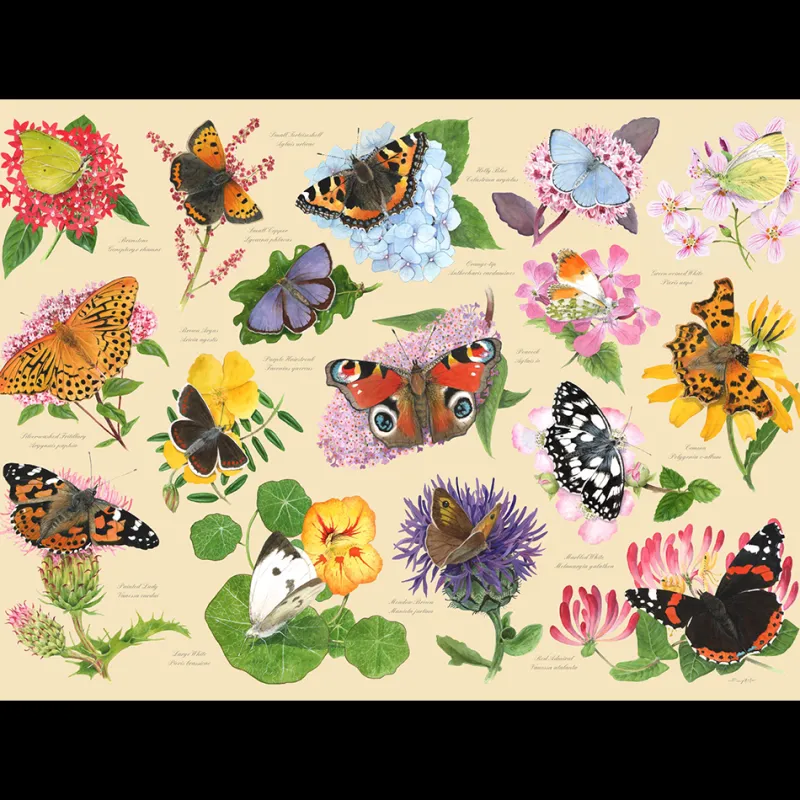 House of Puzzles HOP - Garden Butterflies - 1000 Piece Jigsaw Puzzle Best