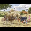 House of Puzzles HOP - Making Hay - BIG 500 Piece Jigsaw Puzzle Sale