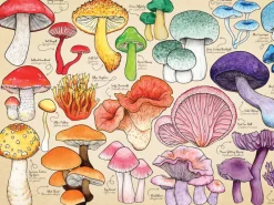 House of Puzzles HOP - Mushroom Mania - 1000 Piece Outlet