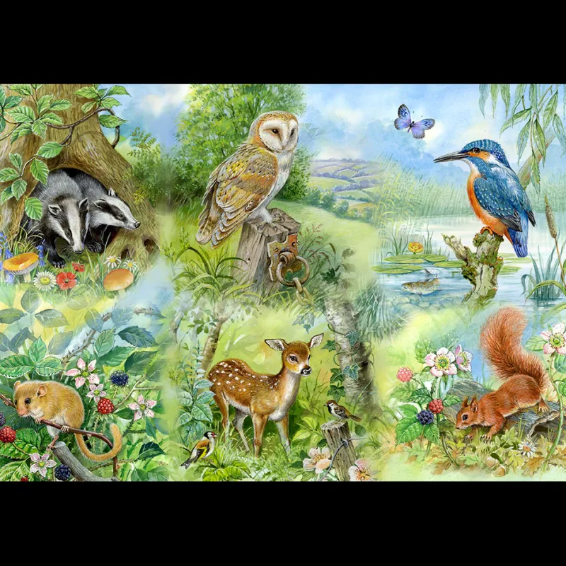 House of Puzzles HOP - Nature Study - BIG 250 Piece Jigsaw Puzzle Hot