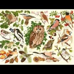 House of Puzzles HOP - Woodland Birds - BIG 500 Piece Jigsaw Puzzle Fashion