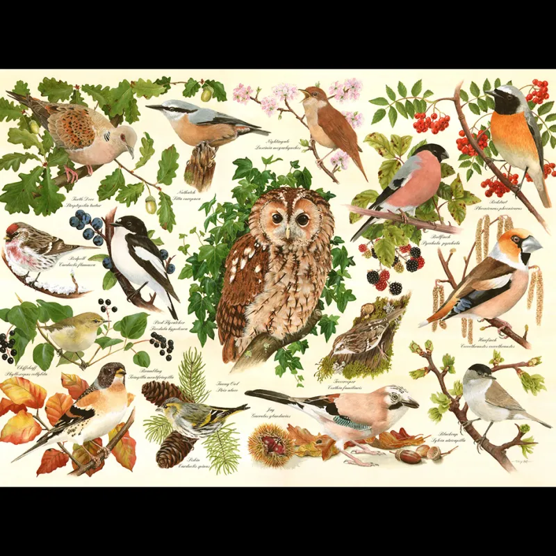 House of Puzzles HOP - Woodland Birds - BIG 500 Piece Jigsaw Puzzle Fashion
