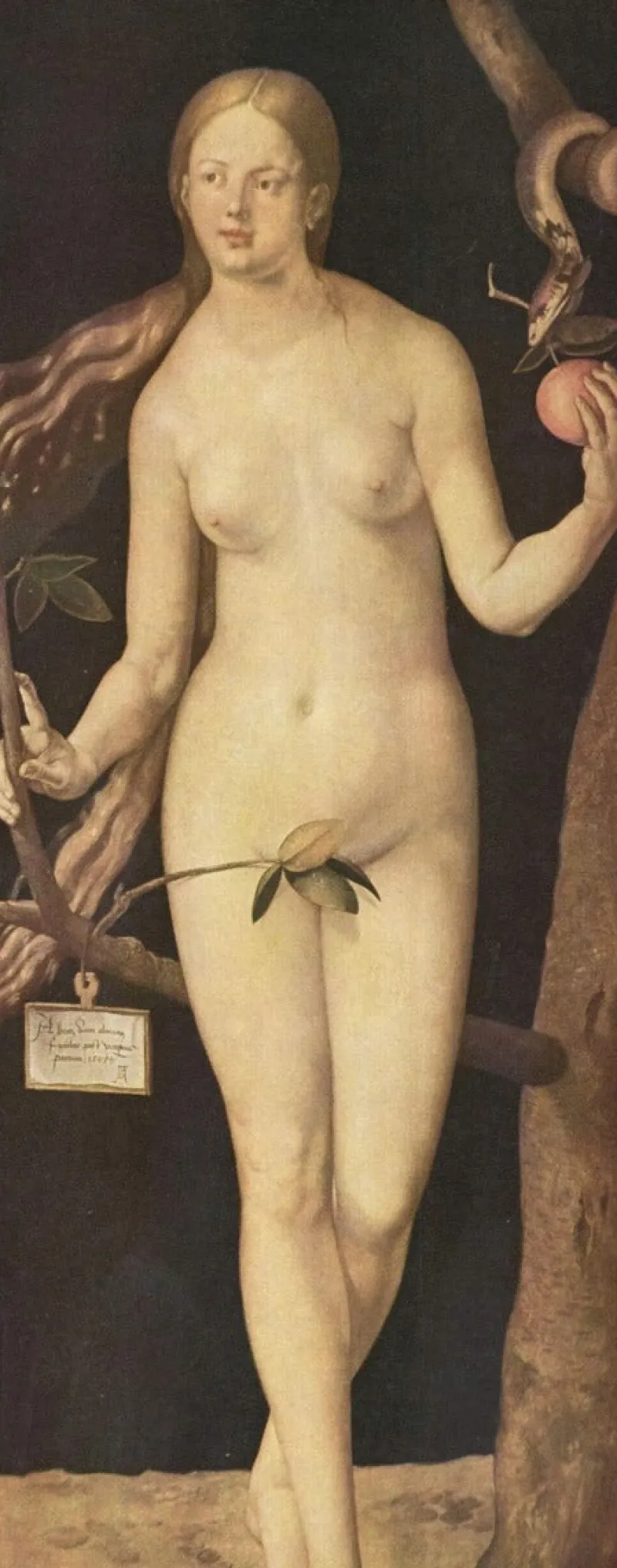 Impronte Edizioni 153 Albrecht Dürer - Eve Hot