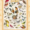 Master Pieces - Songbirds - 1000 Piece Jigsaw Puzzle Online