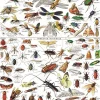 New York Puzzle Company - Vintage Images - Insects - 1000 Piece Jigsaw Puzzle Clearance