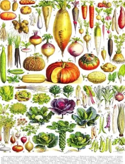 New York Puzzle Company - Vintage Images - Vegetables - 1000 Piece Jigsaw Puzzle Fashion