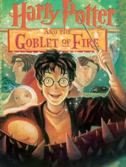 New York Puzzle Company - Harry Potter and the Goblet of Fire - 1000 Piece Jigsaw Puzzle New