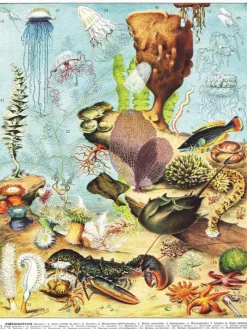 New York Puzzle Company - Vintage Images - Océanographie - 1000 Piece Jigsaw Puzzle Discount
