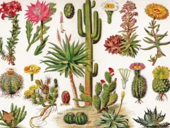 New York Puzzle Company - Vintage Images - Cactus - 1000 Piece Jigsaw Puzzle Hot