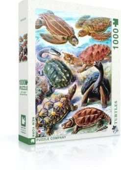 New York Puzzle Company - Vintage Images - Turtles - 1000 Piece Jigsaw Puzzle Clearance