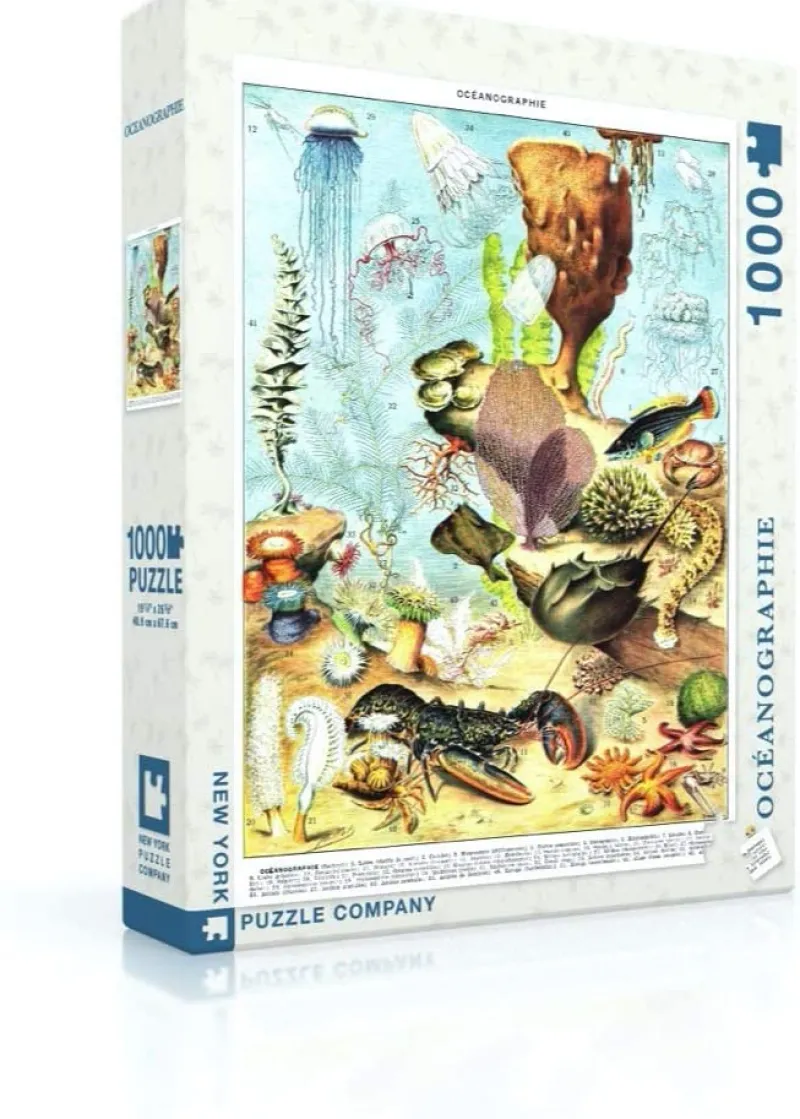 New York Puzzle Company - Vintage Images - Océanographie - 1000 Piece Jigsaw Puzzle Discount