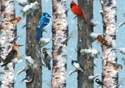 Piatnik - Birds - 1000 Piece Jigsaw Puzzle Sale