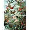 Piatnik - Ernest Haeckel - Hummingbirds - 1000 Piece Jigsaw Puzzle Outlet